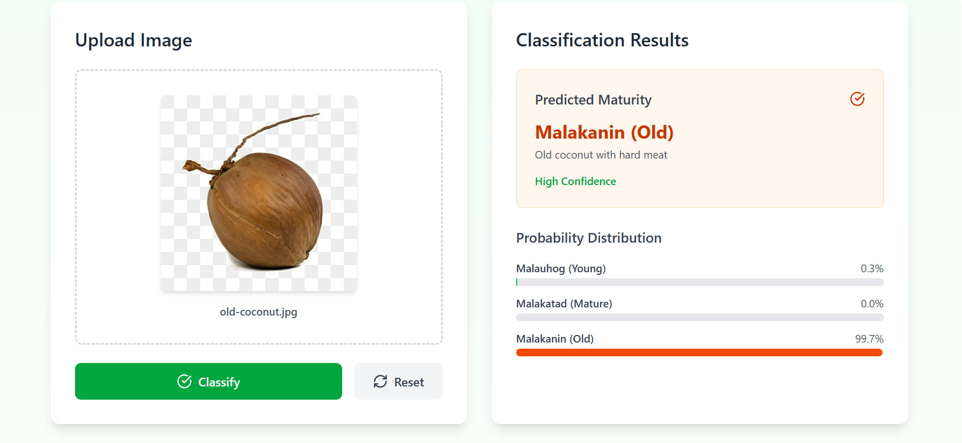 Coconut Image Classification Tool